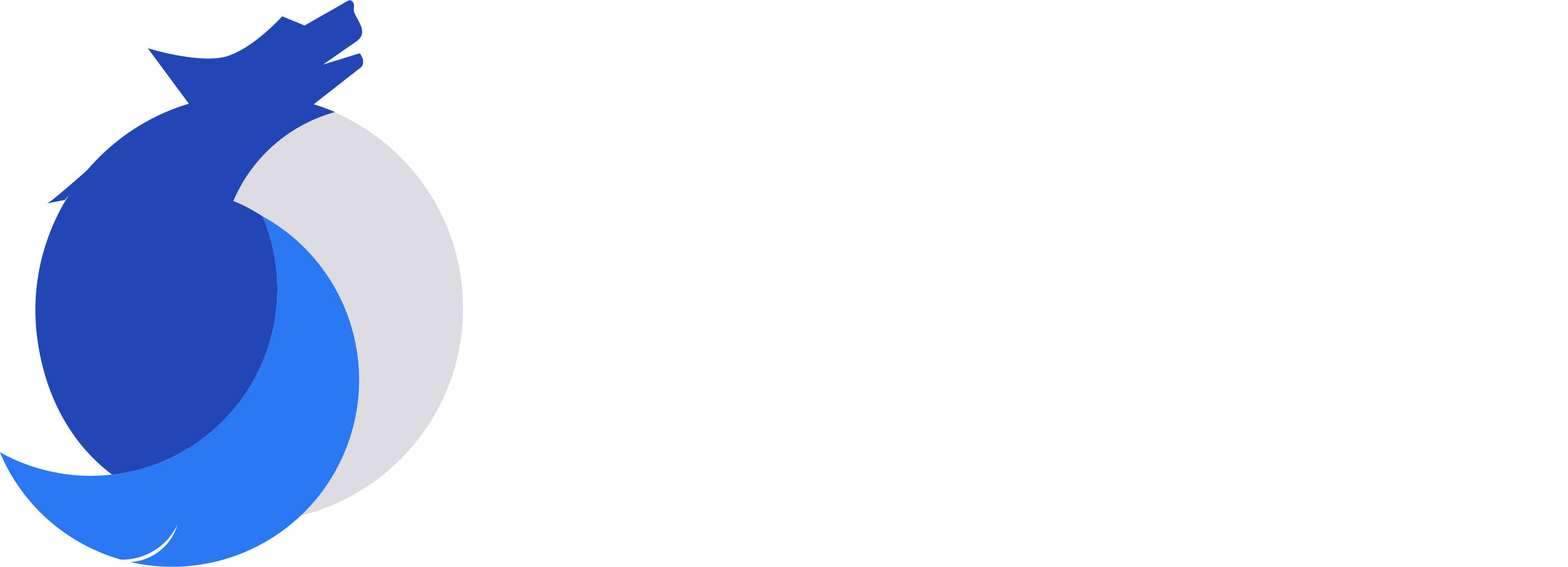 Soft Wolf Digital Agency | Production House