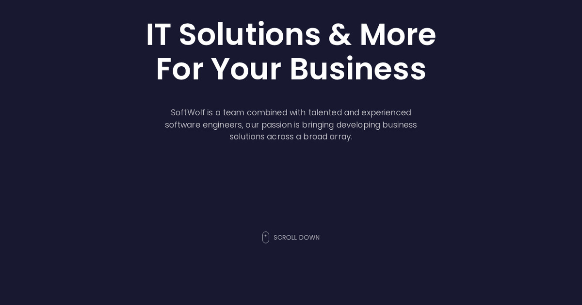 Our Services - Custom Software Development Solutions